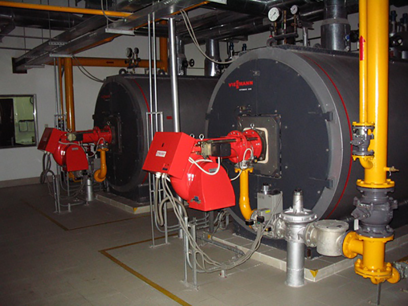 6T雙燃料-力謳熱能設備（上海）有限公司